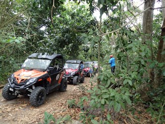 Off-road buggy adventure for cruise ship guests in Antigua